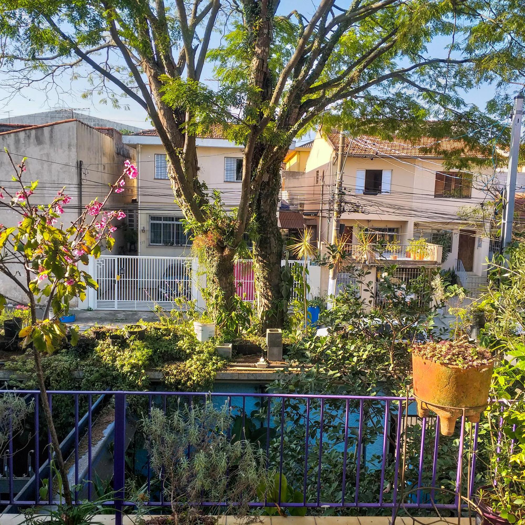 Micasa Hostel - Congonhas - Sao Paulo — Photos 1